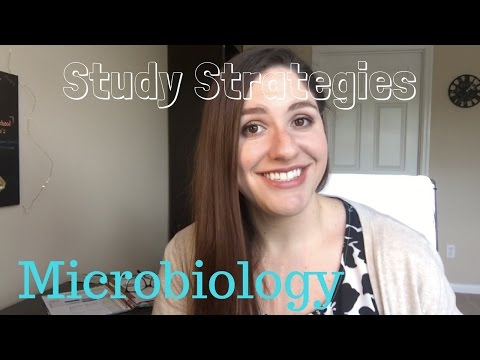 Study Strategies | How I study for exams: Microbiology edition