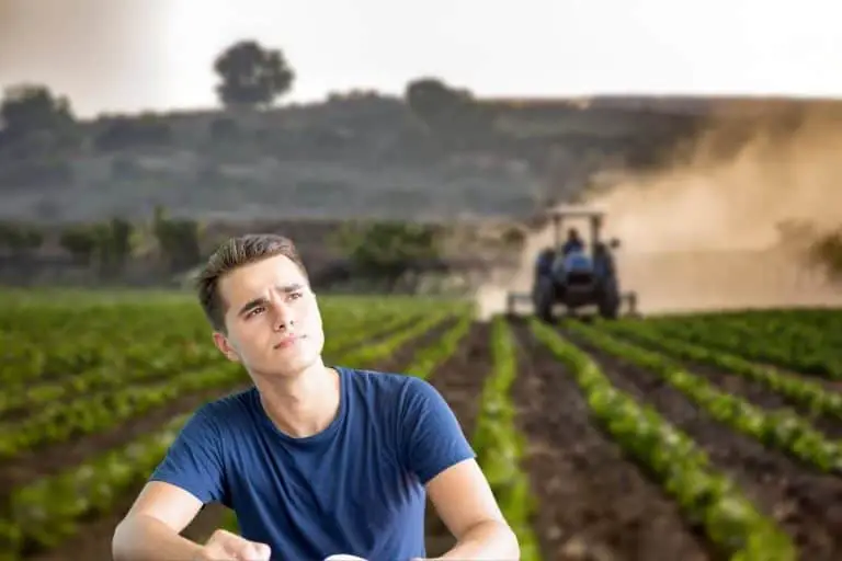 Is Agriculture Hard? (Coursework and Studying Difficulty)
